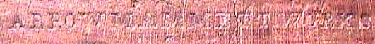 Arrowmammett3.jpg (11314 bytes)